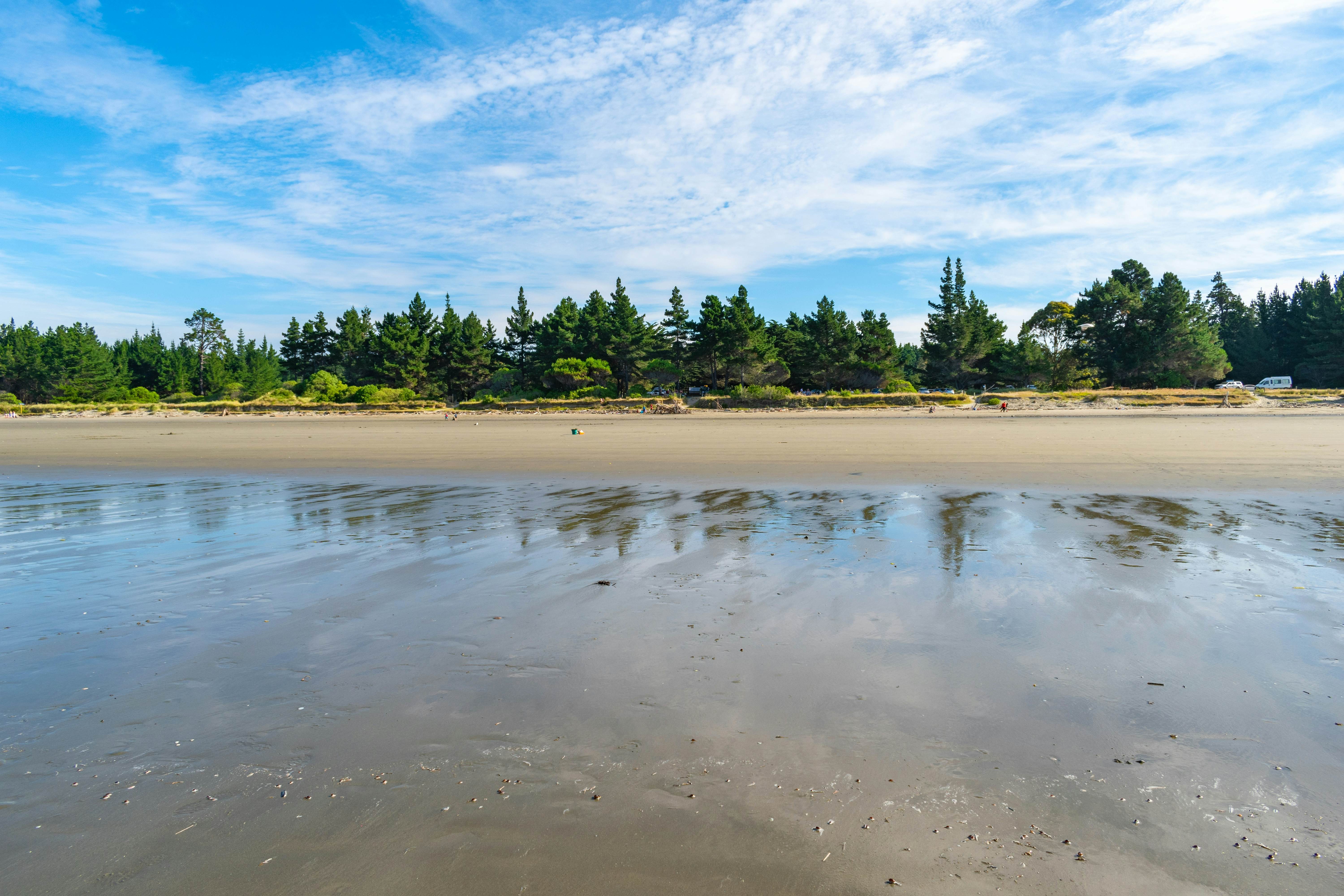 Landscape of Moturoa Rabbit Island Beach Nelson, South Island, New Zealand.