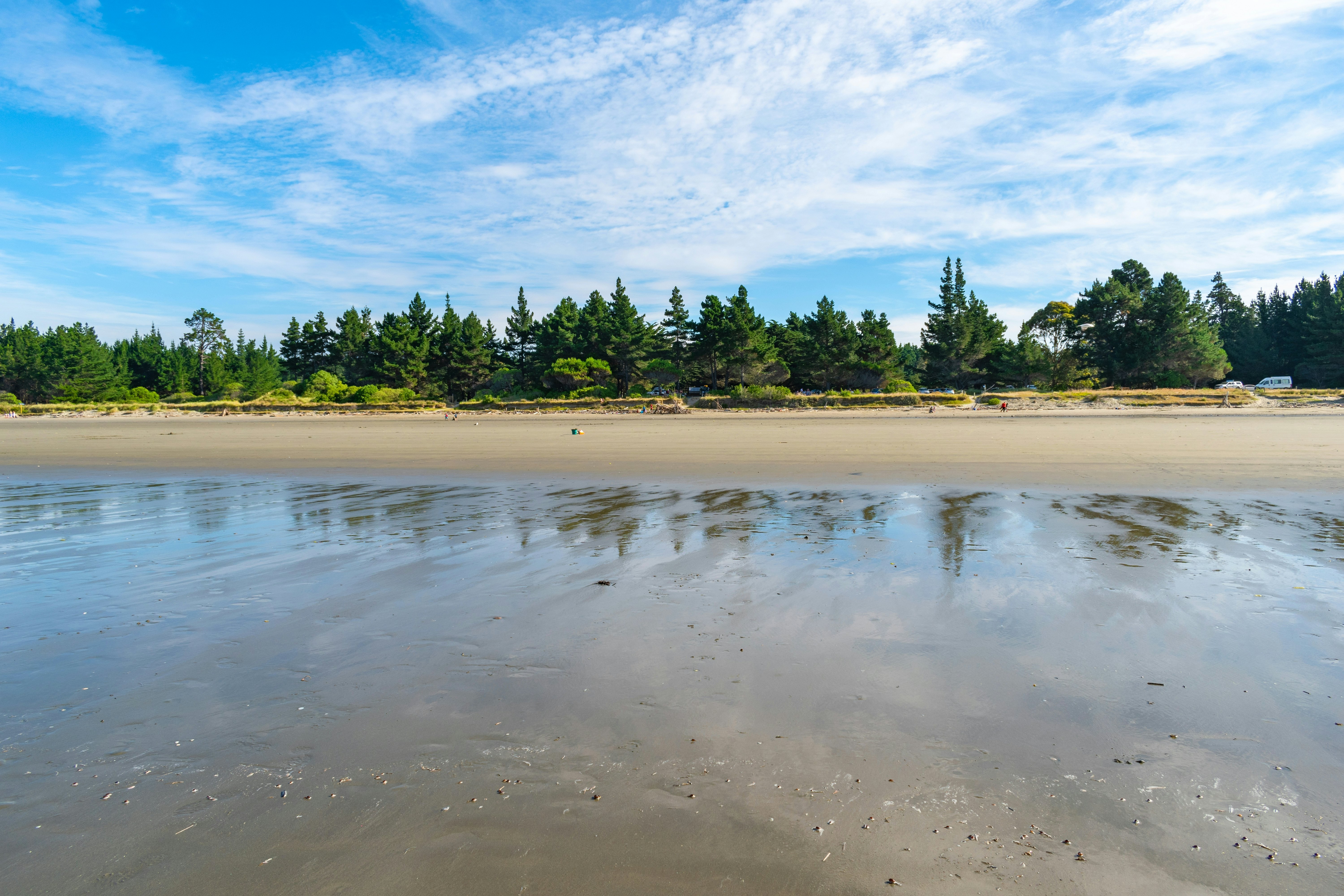 Landscape of Moturoa Rabbit Island Beach Nelson, South Island, New Zealand.