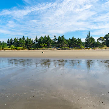 Landscape of Moturoa Rabbit Island Beach Nelson, South Island, New Zealand.