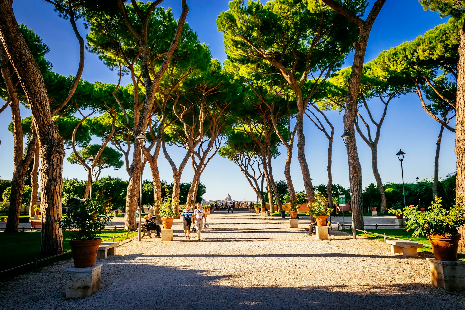 A pathway lined with trees that have bent over it; at the end is the iconic Roman skyline including a large dome
