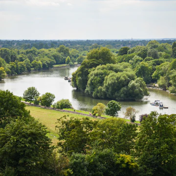 Fields of Richmond park in London, UK.