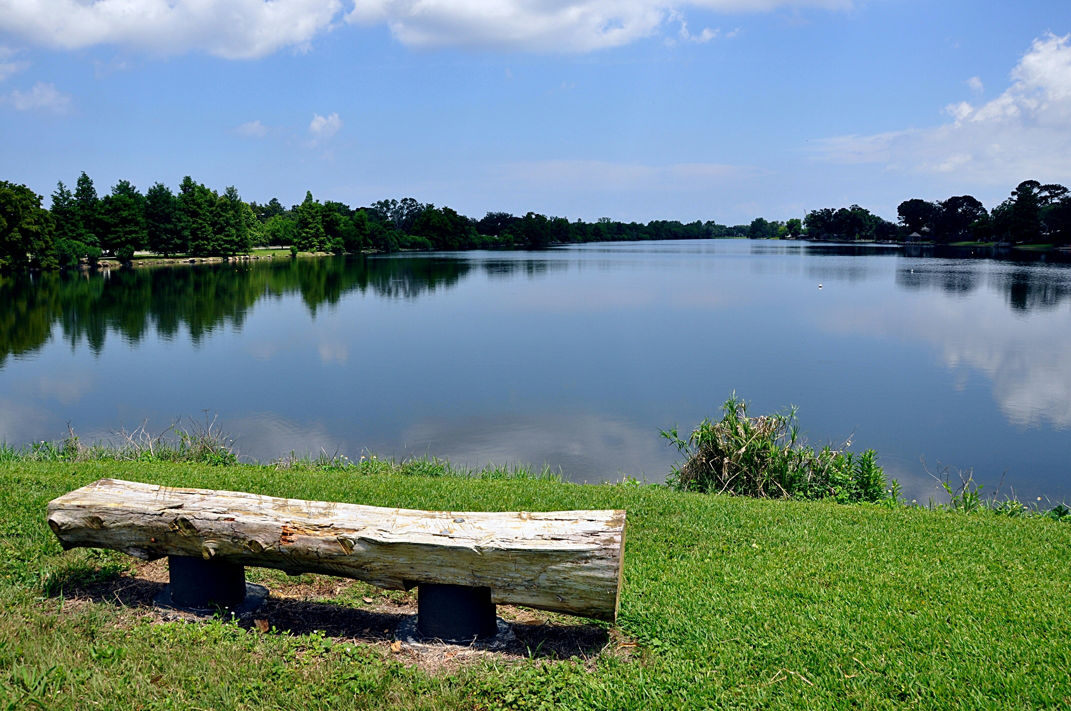 Log Bench On Shore Of Bayou St. John, New Orleans.