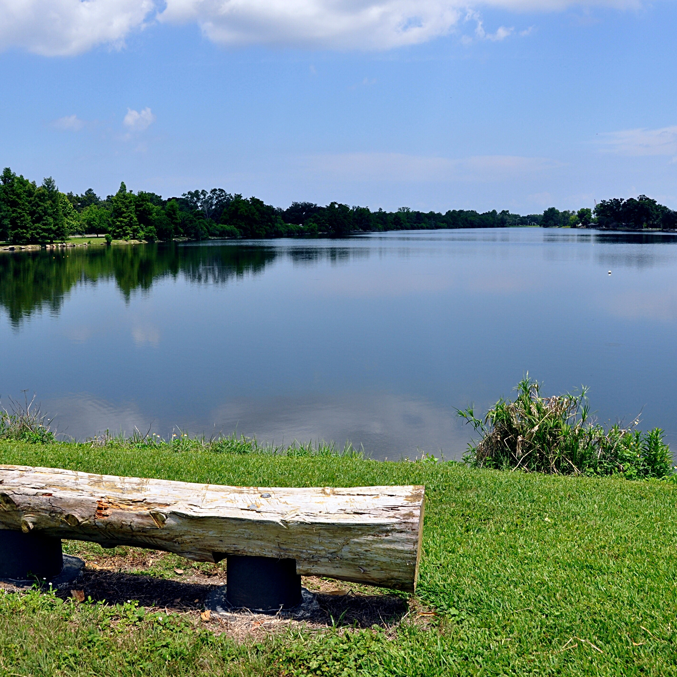 Log Bench On Shore Of Bayou St. John, New Orleans.