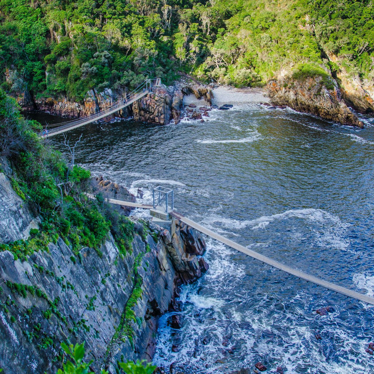 Hanging bridges above the sea in the Tsitsikamma section of the Garden Route National Park, South Africa.