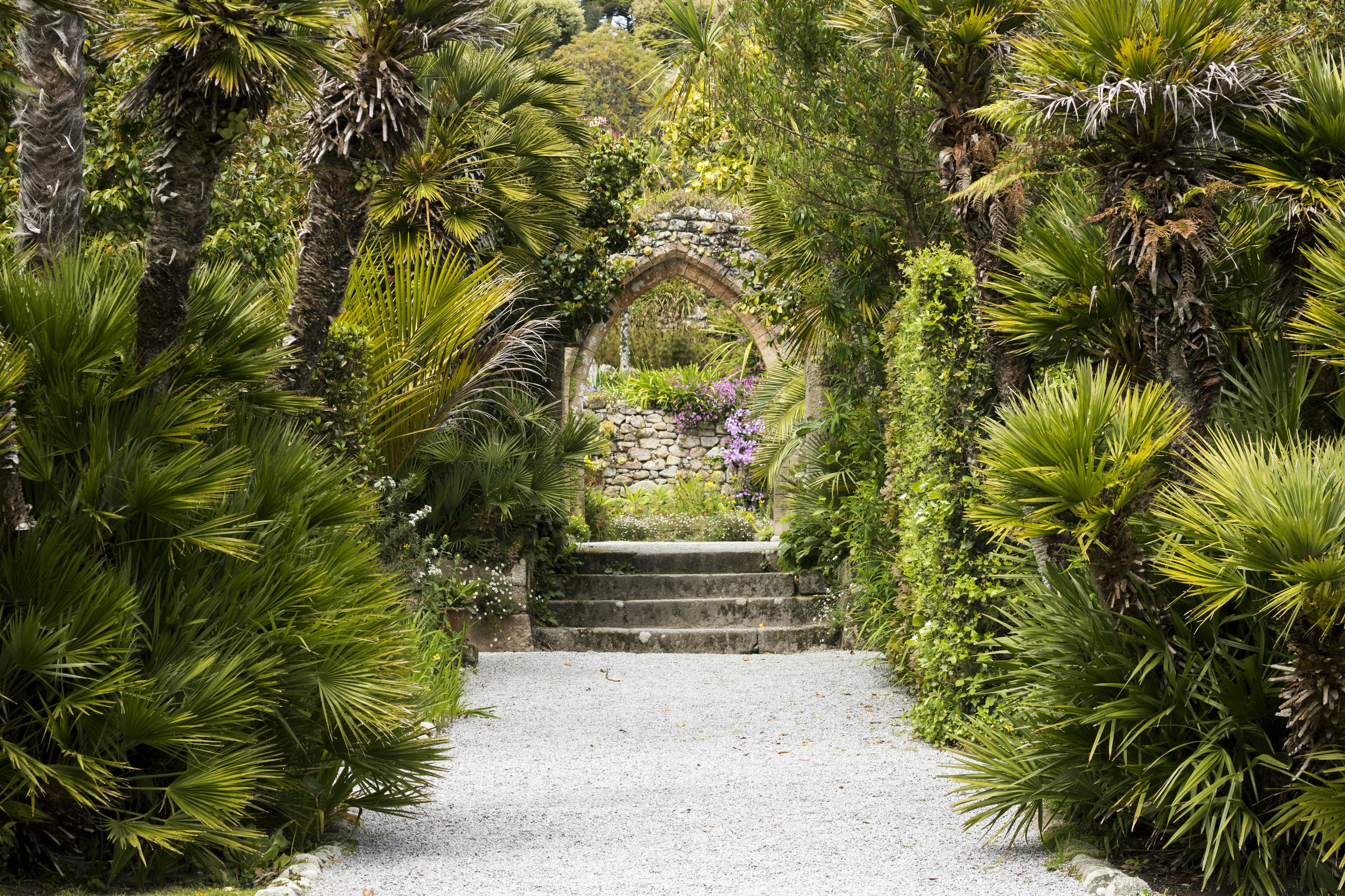 Tresco Abbey Gardens in the Scilly Isles; Shutterstock ID 637439833; your: Sloane Tucker; gl: 65050; netsuite: Online Editorial; full: POI
637439833