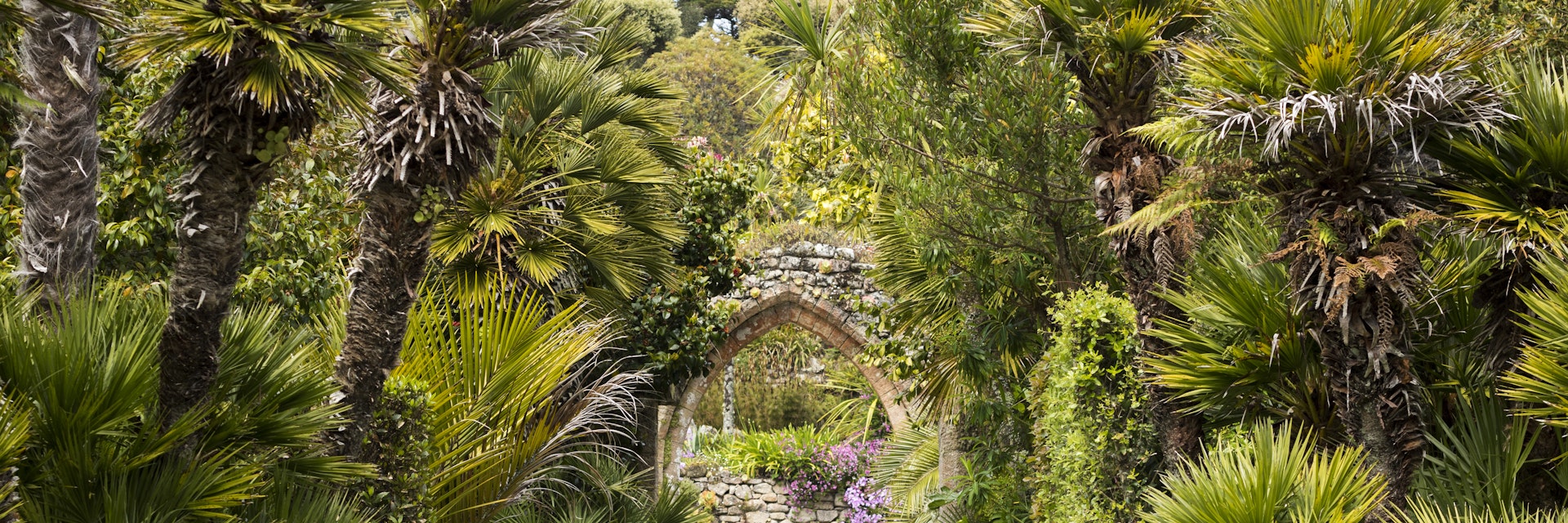 Tresco Abbey Gardens in the Scilly Isles; Shutterstock ID 637439833; your: Sloane Tucker; gl: 65050; netsuite: Online Editorial; full: POI
637439833
