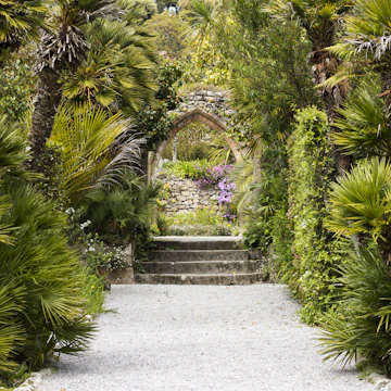 Tresco Abbey Gardens in the Scilly Isles; Shutterstock ID 637439833; your: Sloane Tucker; gl: 65050; netsuite: Online Editorial; full: POI
637439833