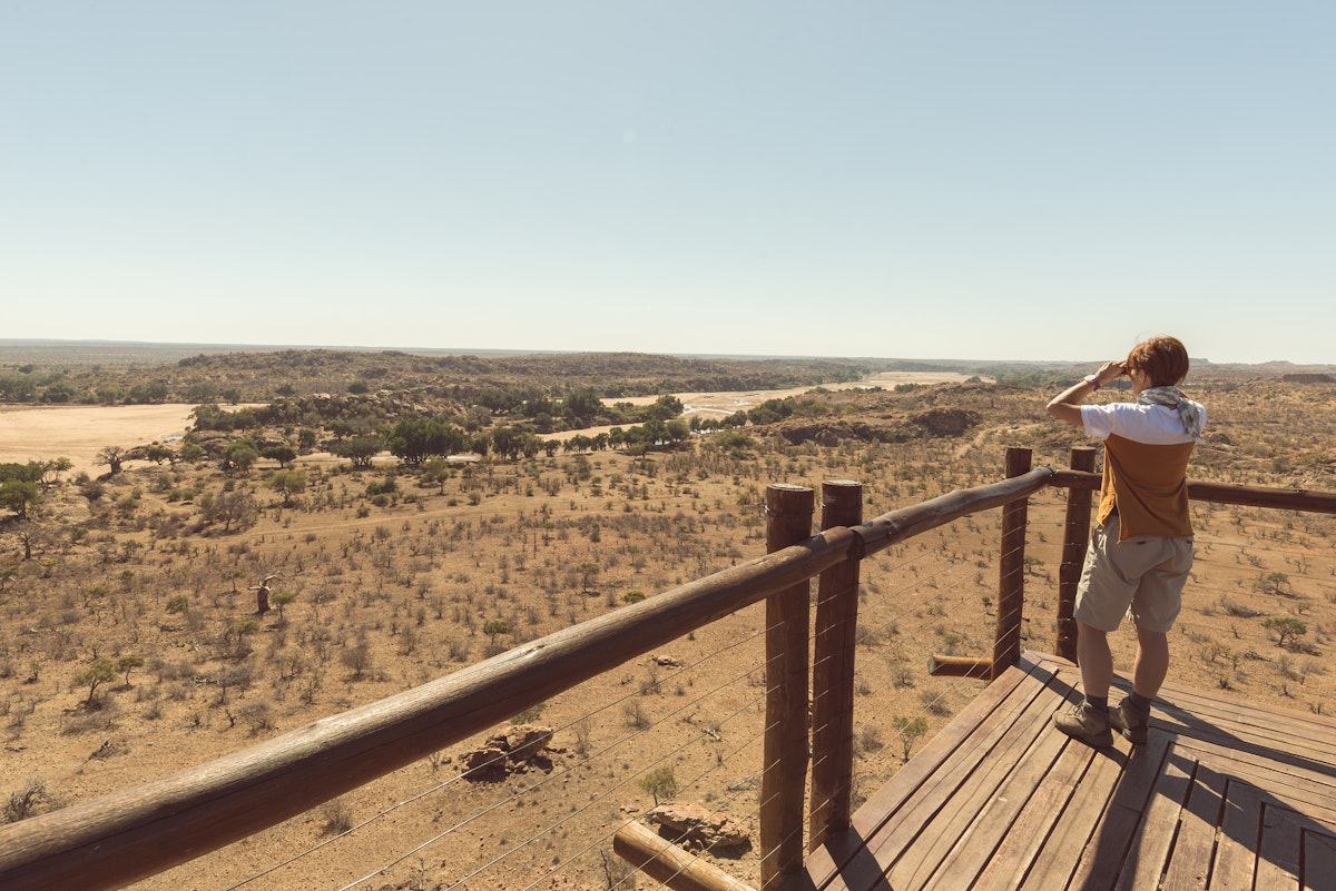Looking out from a viewpoint over the Mapungubwe National Park.