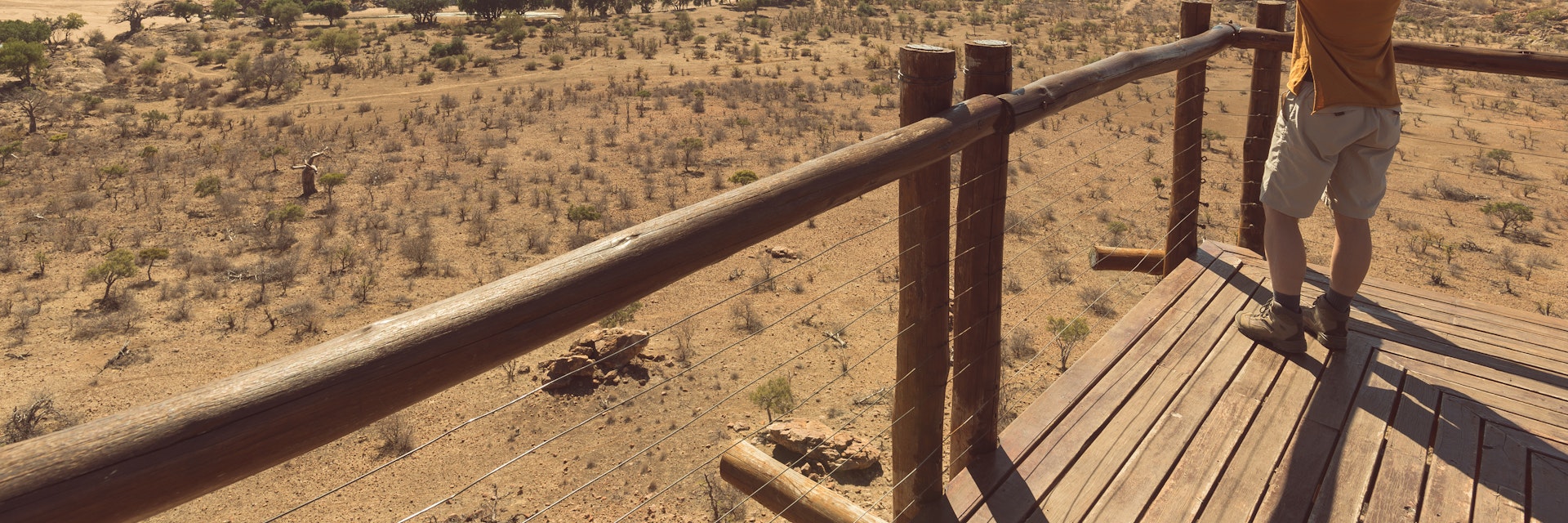 Looking out from a viewpoint over the Mapungubwe National Park.