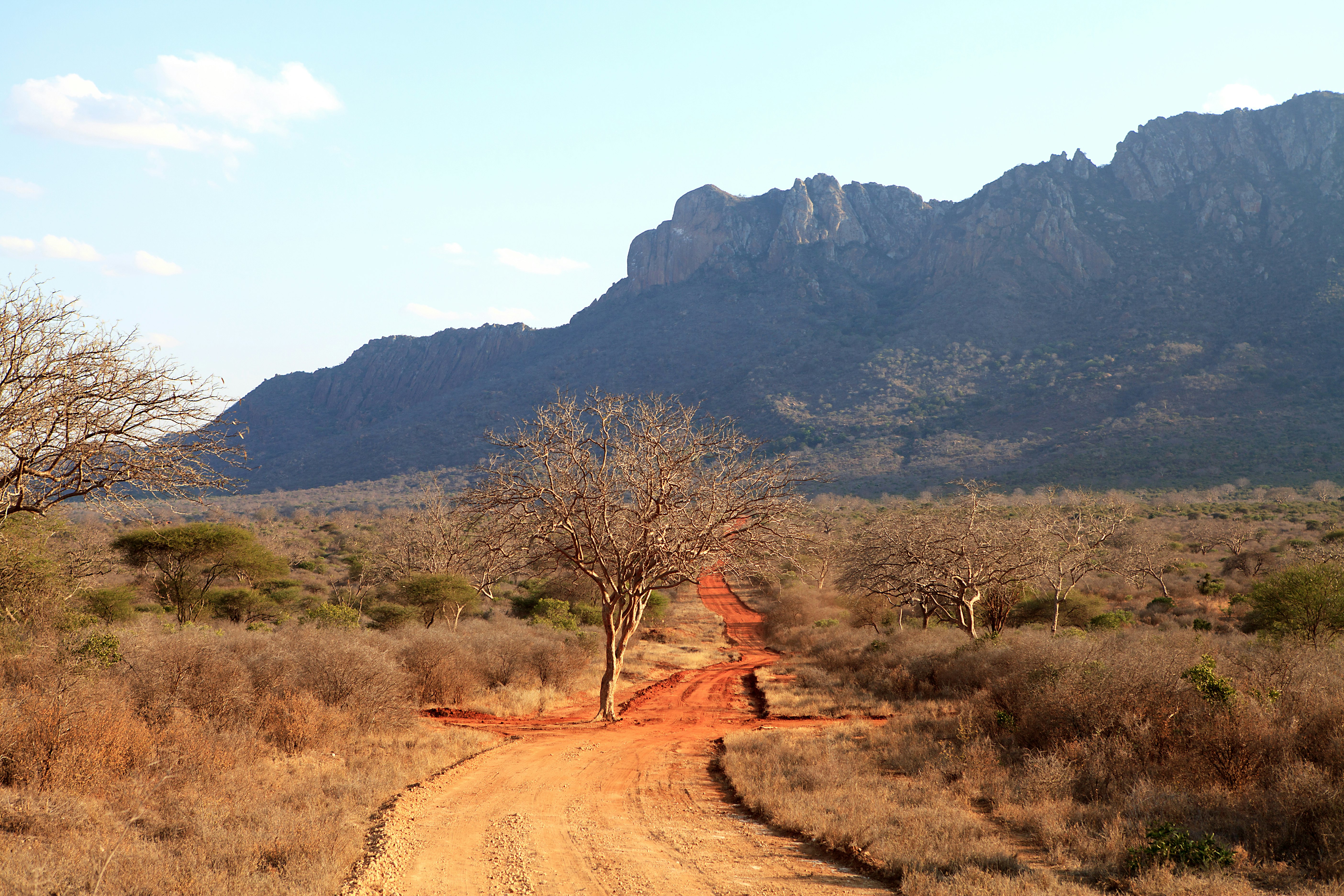 Landscape in Ngulia Rhino Sanctuary in Kenya.