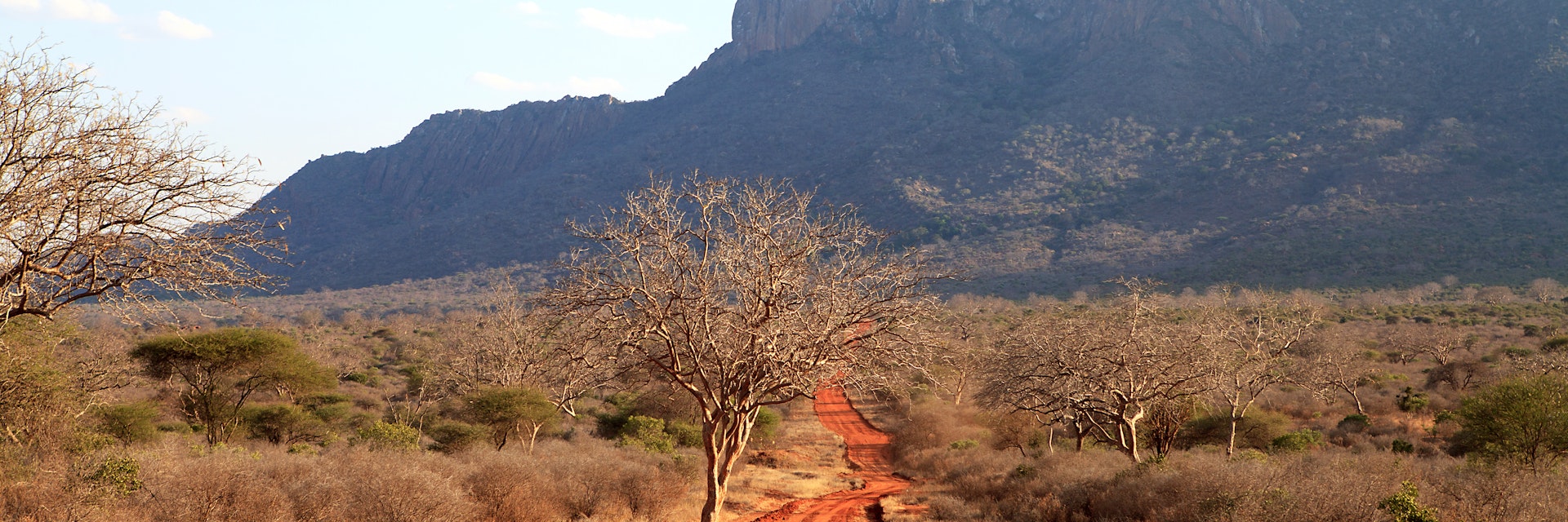 Landscape in Ngulia Rhino Sanctuary in Kenya.