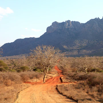 Landscape in Ngulia Rhino Sanctuary in Kenya.