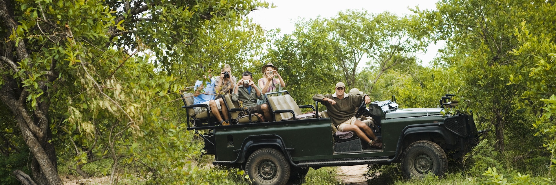 Leopard (Panthera pardus) crossing road with tourists in jeep in background
20s, 30s, 40s, adult, adventure, africa, animal, block, camera, casual, caucasian, crossing, excitement, full length, green, group, horizontal, jeep, kruger, leisure, leopard, men, national, nature, offroad, outdoors, panthera, pardus, park, people, photography, recreation, reserve, road, safari, singita, sitting, south africa, spots, tourism, tourist, track, transportation, trees, vacation, vehicle, watching, wildlife, women, young