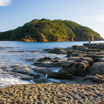 Goat Island Marine Reserve.