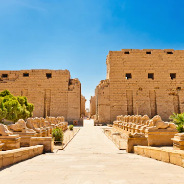 Ram-headed sphinxes ,Karnak Temple, Luxor, Egypt.
179121524
old, ram, sky, amun, tomb, rock, amon, wall, blue, path, stone, ruins, egypt, sheep, luxor, place, cairo, nobody, karnak, travel, thebes, statue, yellow, africa, famous, temple, sphinx, museum, culture, history, african, tourism, antique, ancient, sunlight, alphabet, landmark, corridor, entrance, building, egyptian, outdoors, religion, monument, sandstone, archeology, horizontal, destinations, civilization, architecture