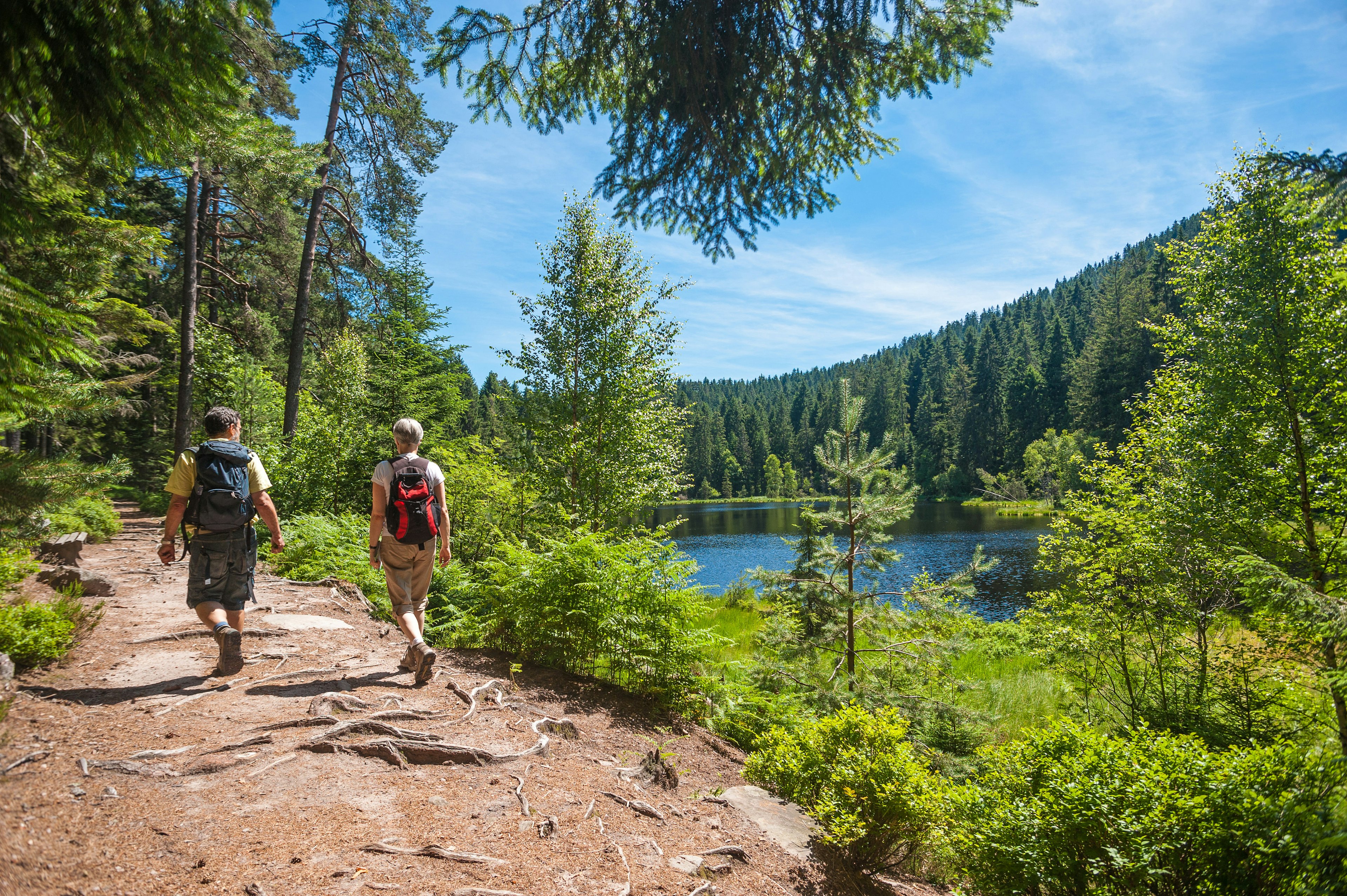 Hikers in the magical Black Forest, with a lake and dense trees to the right of them.