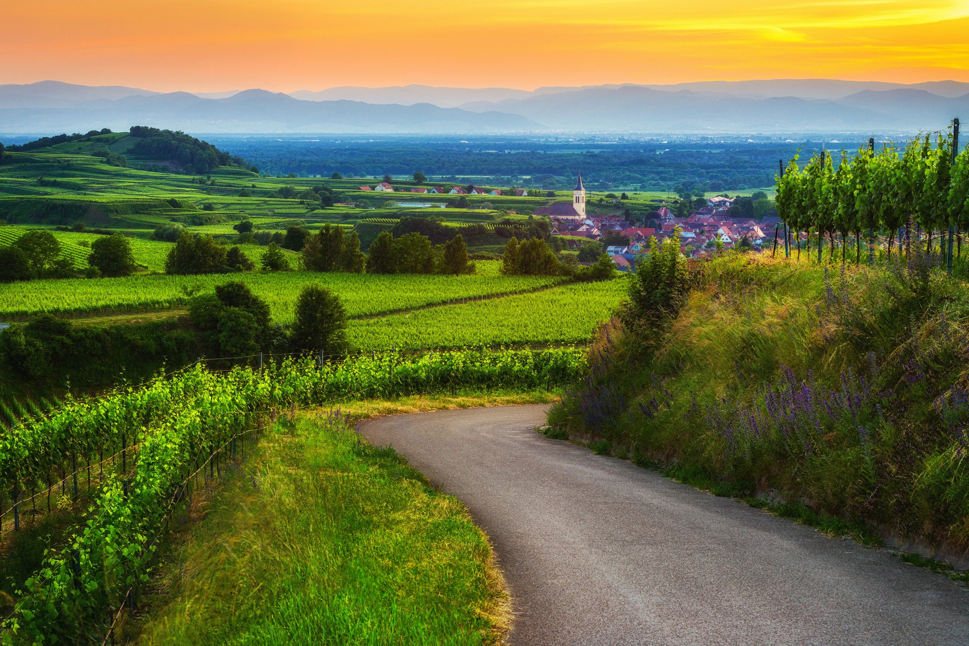 Beautiful scenic view of a picturesque historic town with vineyards and old church in Germany at sunset. Black forest, Kaiserstuhl, Oberrotweil. Travel and wine-making background.
