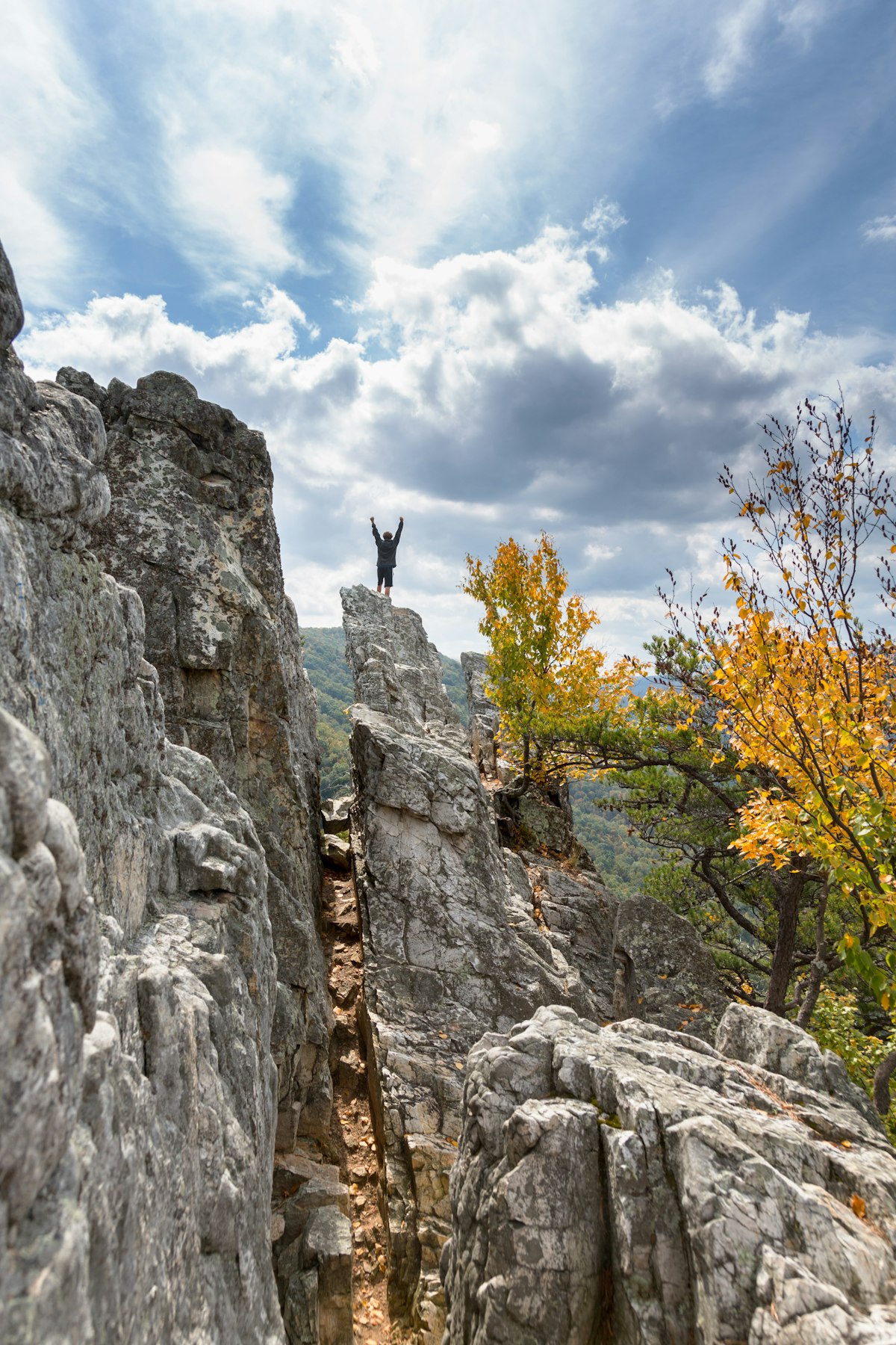 Climber standing on top of Seneca Rocks with his hands in the air.
567872638
autumn, boy, cheer, cliff, climb, climber, countryside, crag, destination, excited, exposed, exultant, fall, granite, happy, high, imposing, landmark, landscape, man, mountain, nature, notch, outdoors, peak, person, recreation, ridge, rock, rocky, rugged, rural, scenic, season, seneca rocks, stone, success, successful, summit, top, tourism, travel, trees, west virginia, wv, youth