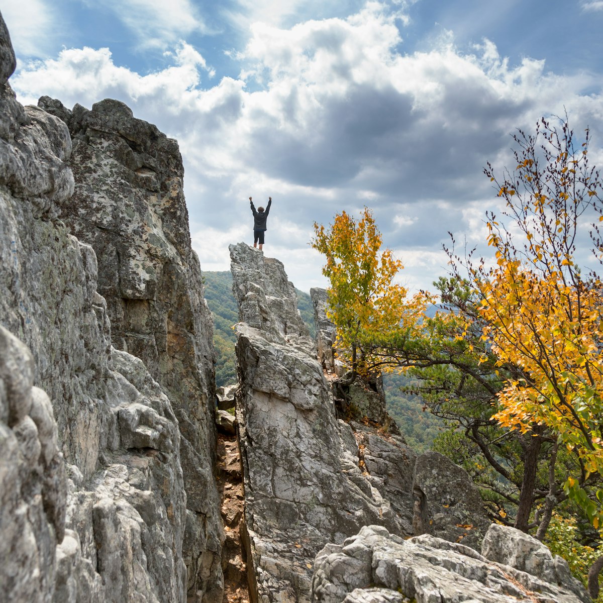 Climber standing on top of Seneca Rocks with his hands in the air.
567872638
autumn, boy, cheer, cliff, climb, climber, countryside, crag, destination, excited, exposed, exultant, fall, granite, happy, high, imposing, landmark, landscape, man, mountain, nature, notch, outdoors, peak, person, recreation, ridge, rock, rocky, rugged, rural, scenic, season, seneca rocks, stone, success, successful, summit, top, tourism, travel, trees, west virginia, wv, youth