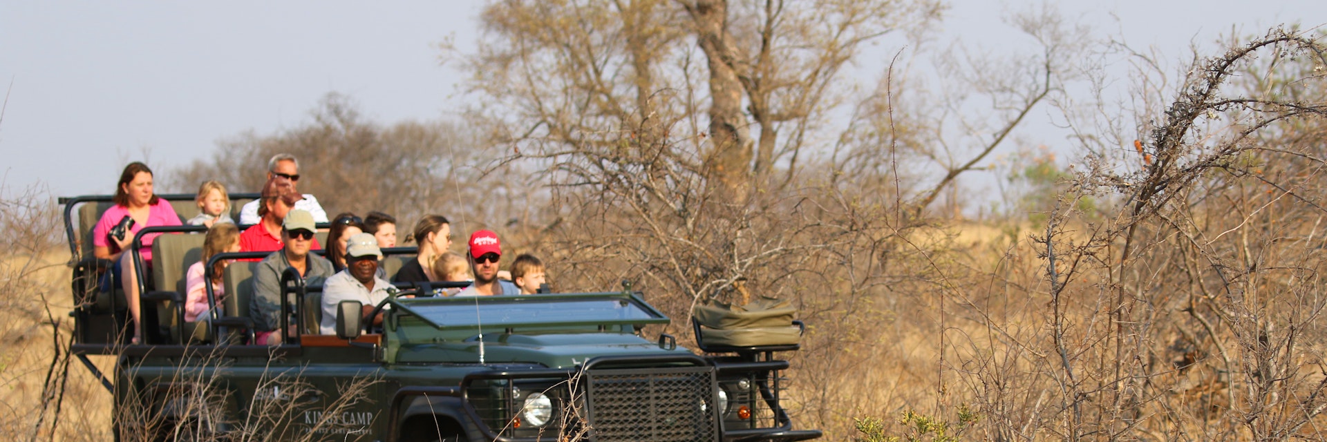 Tourists in a safari vehicle observing an African leopard in Timbavati Private Nature Reserve, South Africa.