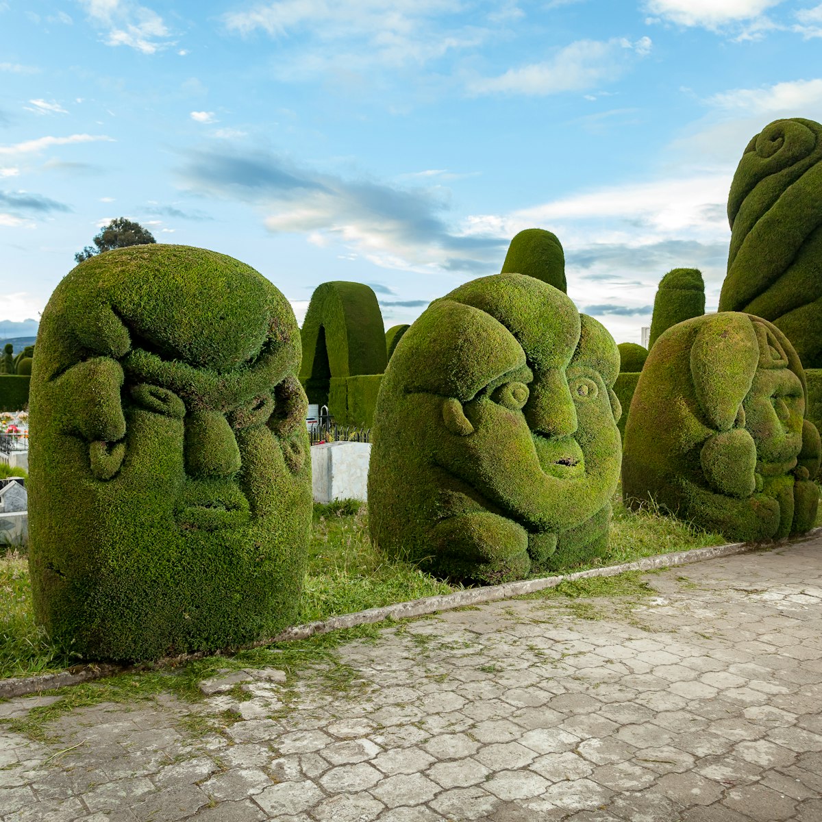 Green sculptures, carved in cypress bushes, adorn the corridors of the Tulcán Cemetery.