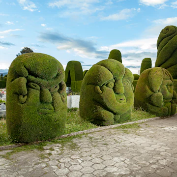 Green sculptures, carved in cypress bushes, adorn the corridors of the Tulcán Cemetery.