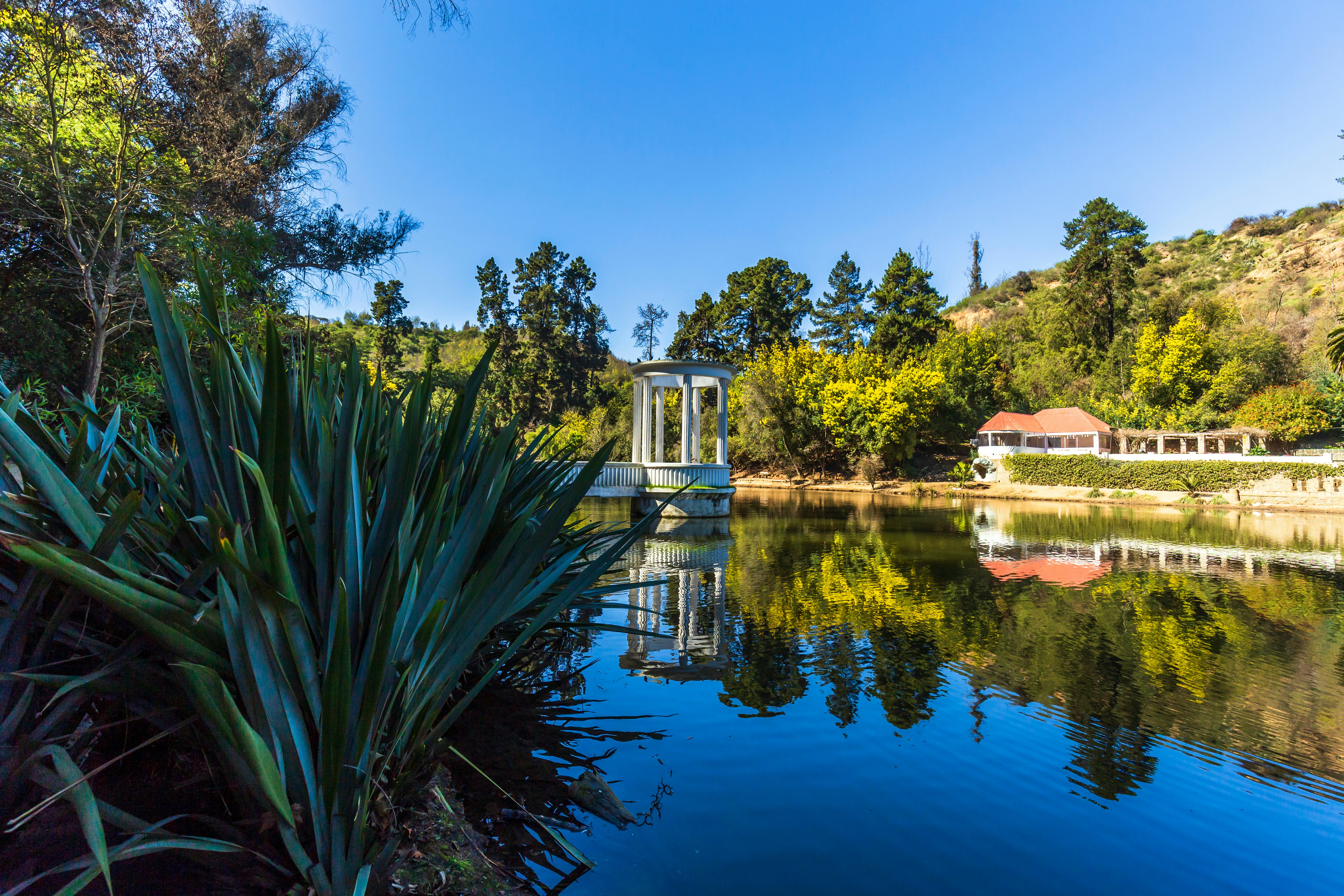 The Botanical gardens of Viña del Mar, Chile.