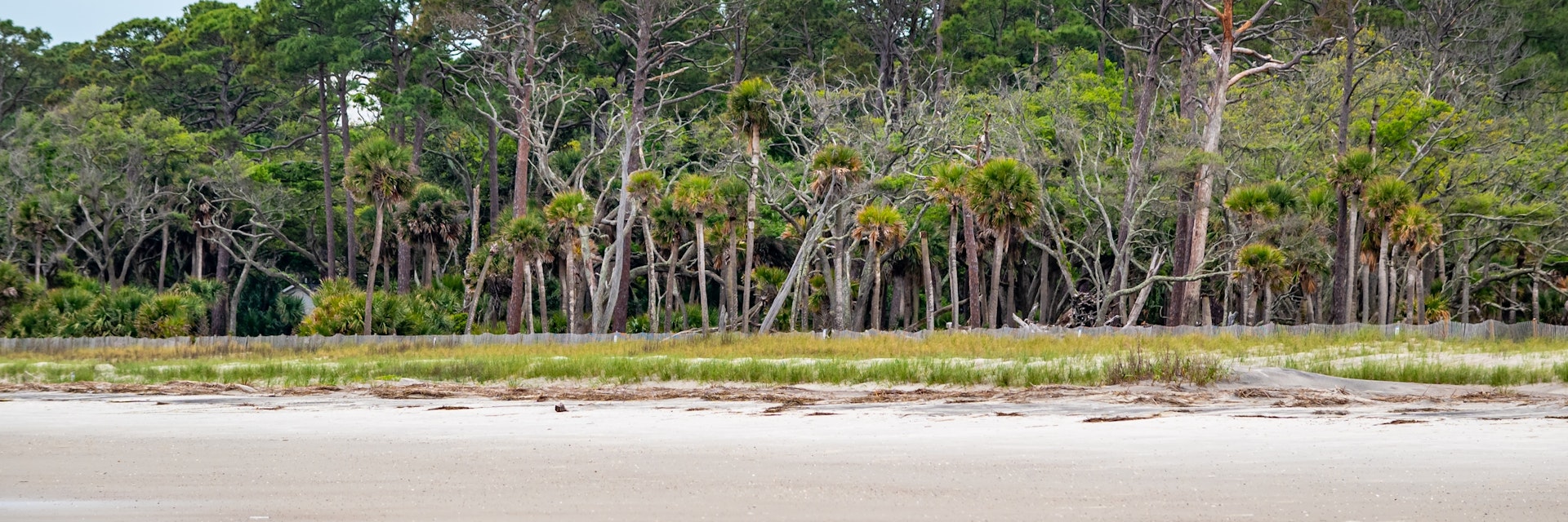 Hunting Island State Park.