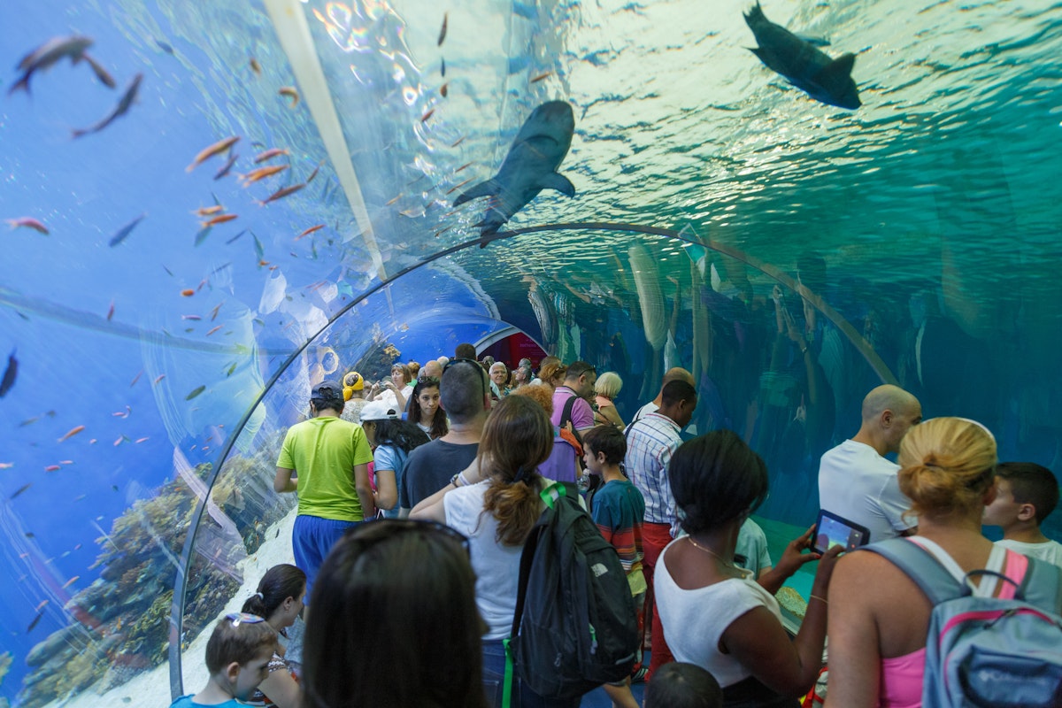 The Underwater Observatory Aquarium in Eilat, Israel.