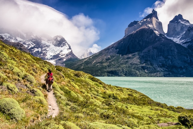 Woman hiking in Torres del Paine, Torres del Paine National Park, Magallanes Region, Chile, South America