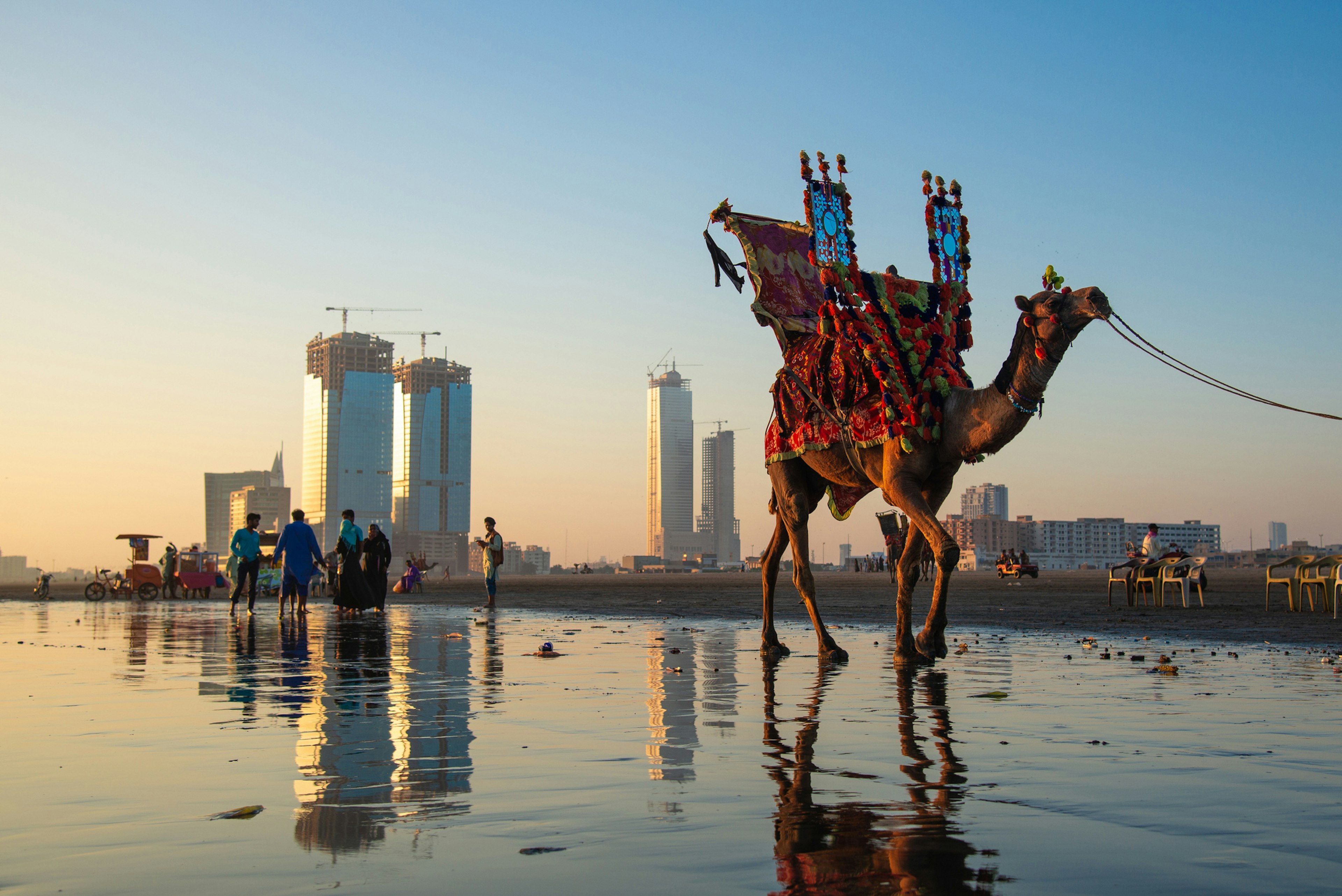 A camel walking across the beach at sunset in Karachi, Pakistan