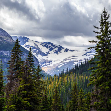 Jackson Glacier Overlook on the Going-to-the-Sun Road in Glacier National Park, Montana
1189009281
overlook, reynolds, vast