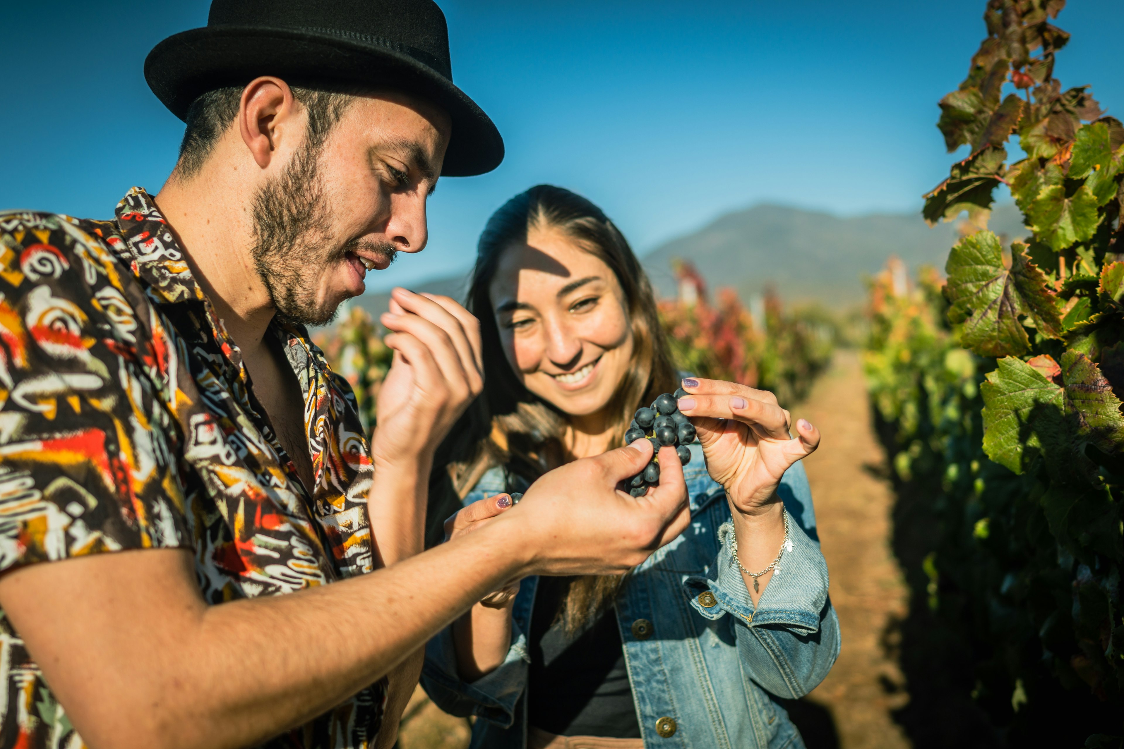 Chilean couple in a vineyard in the sunshine in Chile