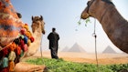 egypt travel visa on arrival