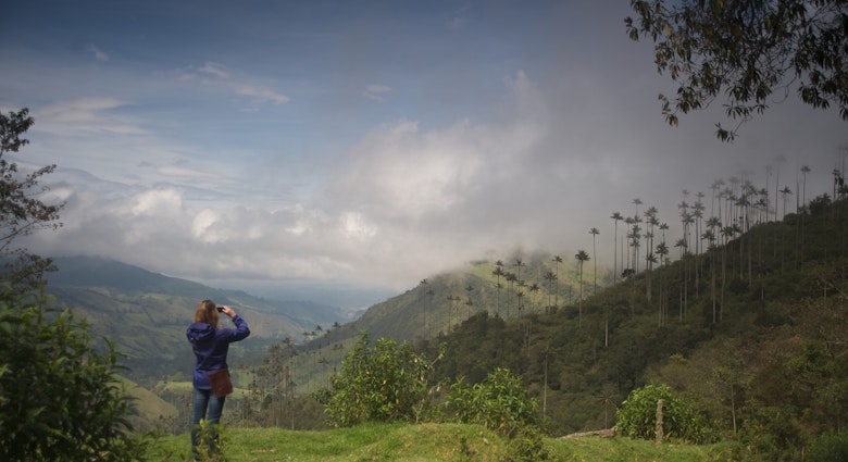 A woman takes a photo of Wax Palms from side of road leading up to the cloud forest.
456499793
capture, beauty, nature
