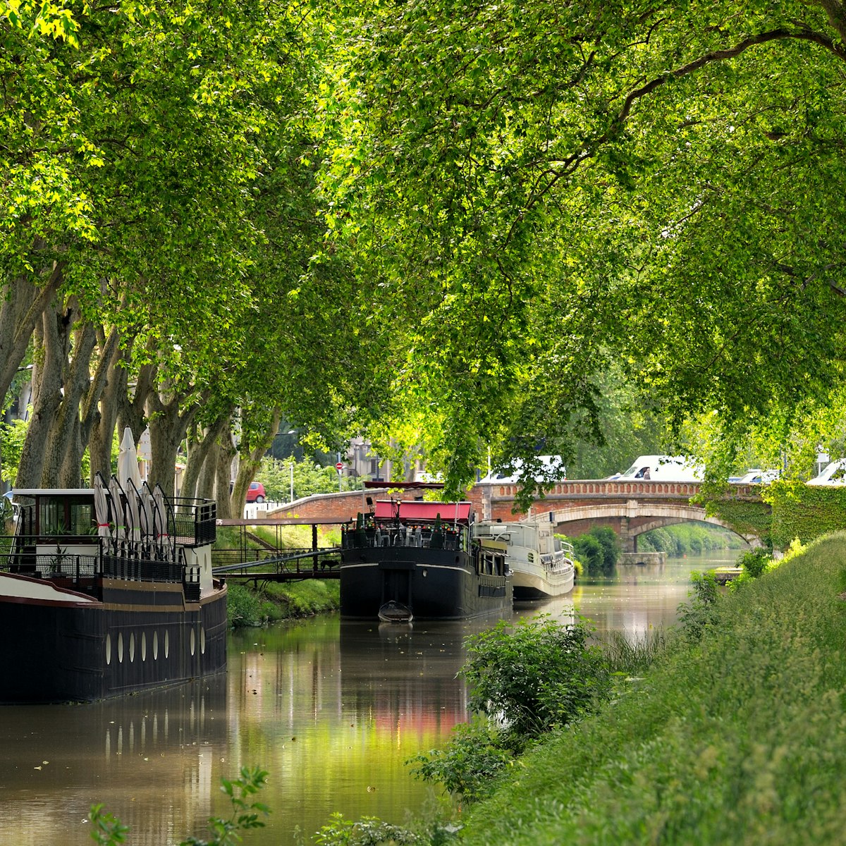 The canal of midi in Toulouse, France.