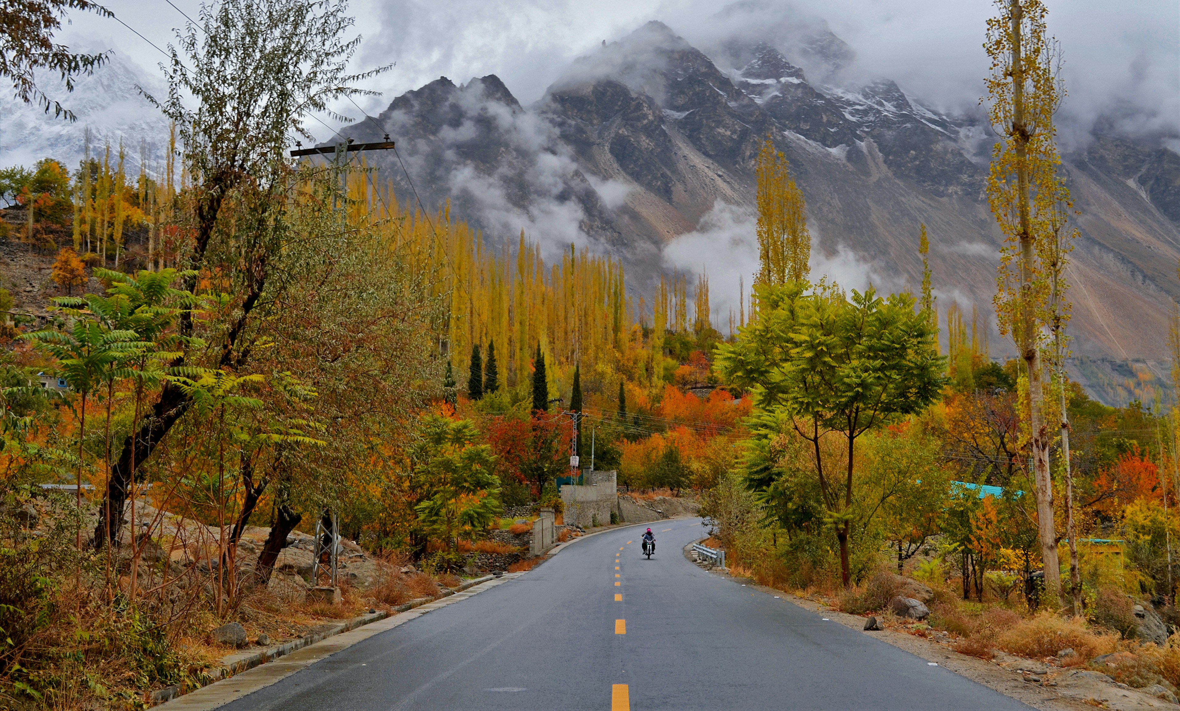 A motorcyclist rides along a highway in a mountainous region surrounded by trees that are turning into autumn golds and oranges