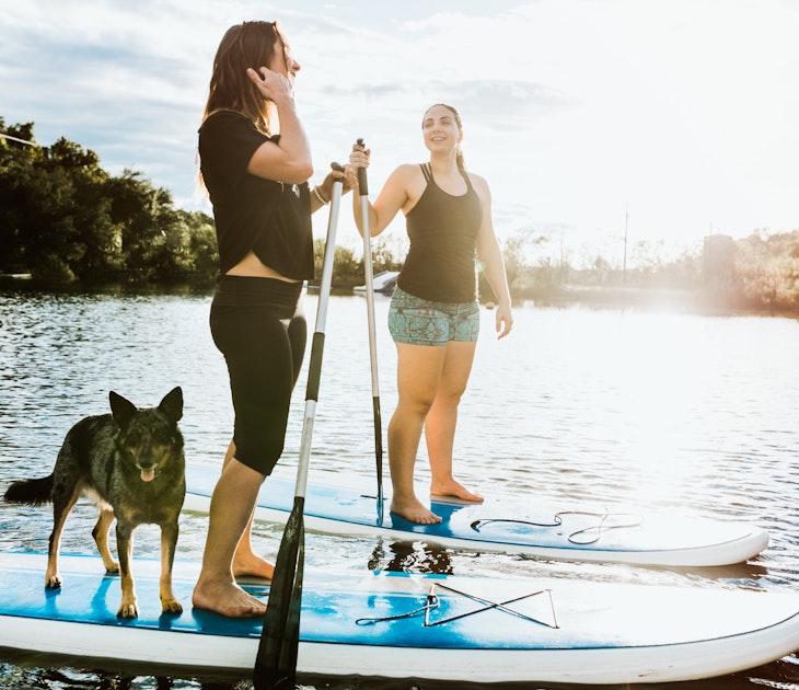Two young adult friends enjoys a peaceful moment on the water with paddle boards and a faithful pet dog.  The sun illuminates the scene, casting a golden glow. Shot in Austin, Texas, USA.
624744608
Beautiful, City Break, Paddleboard, Pets, Young Women, Women, Two People, Beauty In Nature, Relaxation Exercise, Youth Culture, Dog, 20-29 Years, Young Adult, Exercising, Fun, Healthy Lifestyle, Relaxation, Friendship, Nature, Lifestyles, Outdoors, Recreational Pursuit, People, Austin - Texas, Texas, Lake, River, Paddleboarding
Two women and their dog paddleboarding on a lake in Austin, Texas
