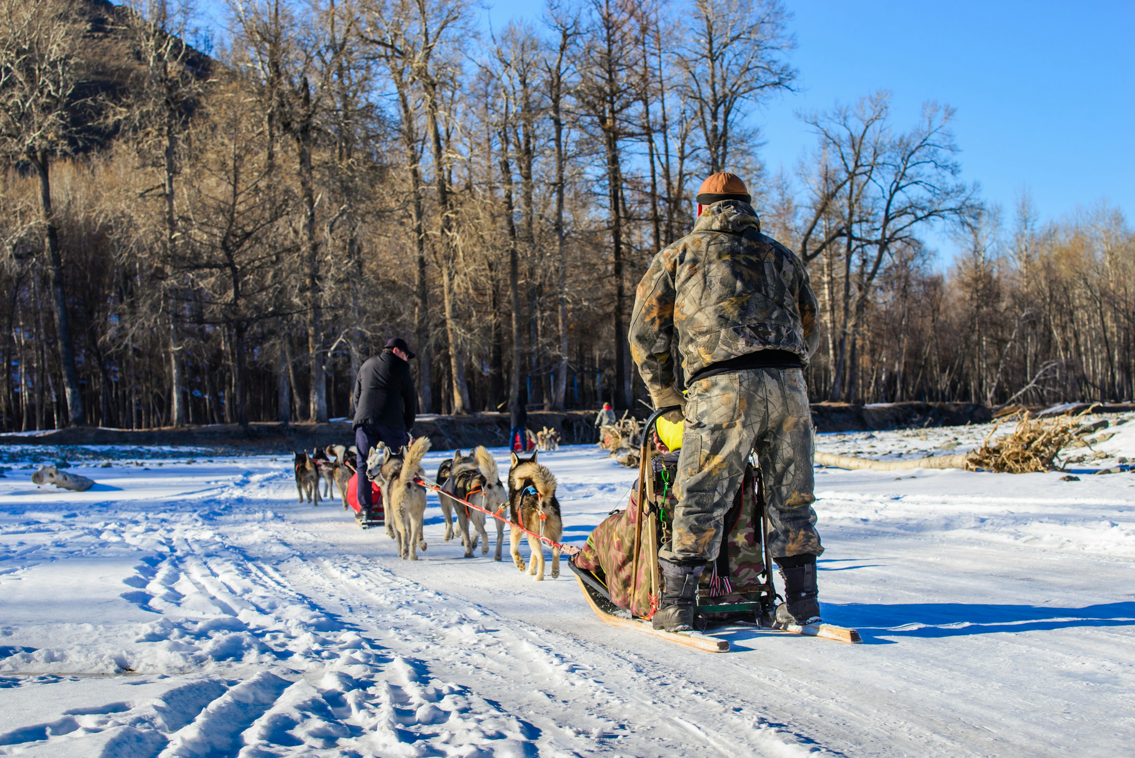 A team of husky dogs pull a sled through a snowy landscape