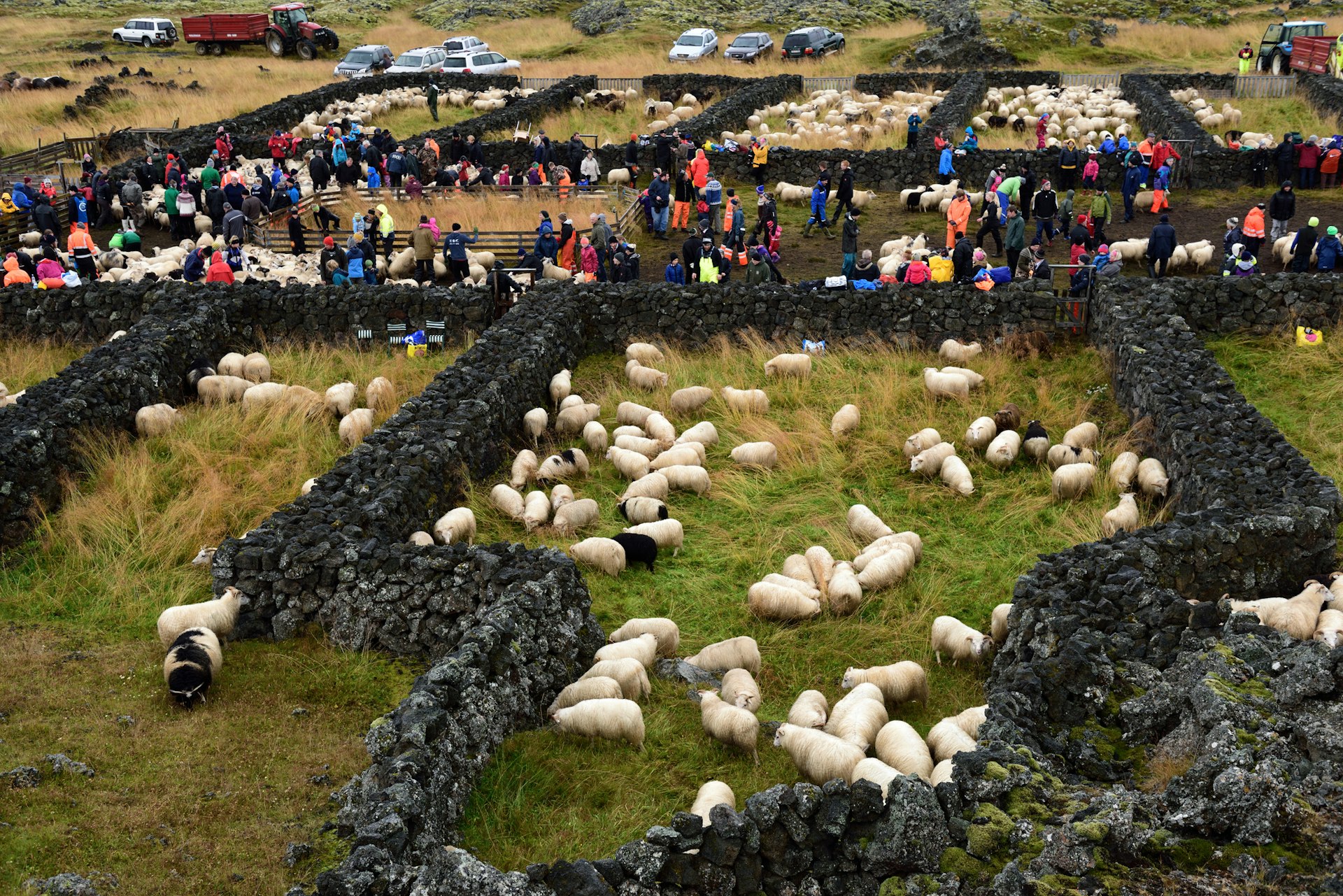 Icelanders head off to the countryside to take part in rettir – the annual sheep round up