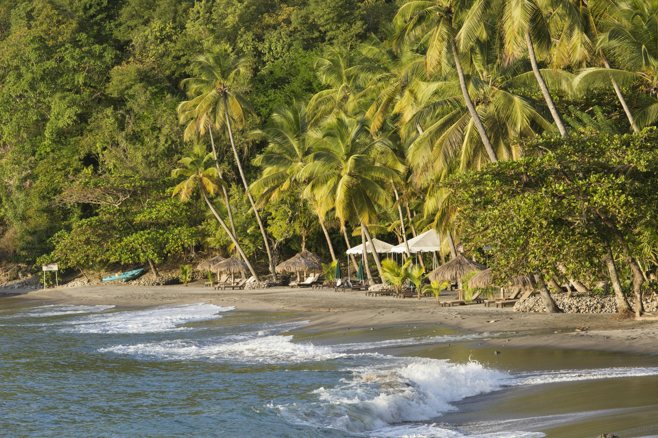 A sandy palm-fringed beach glowing in the sunshine as waves gently lap the shore.