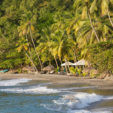 View along the secluded, palm-fringed beach of Anse Mamin, evening, Soufriere, Saint Lucia, West Indies, North America. Lying in the eastern Caribbean between Martinique and Saint Vincent, Saint Lucia is one of the Windward Islands, which themselves form part of the Lesser Antilles. The waters and reef off Anse Mamin constitute part of the Anse Chastanet Marine National Park, a paradise for divers and snorkelling enthusiasts.
913839690