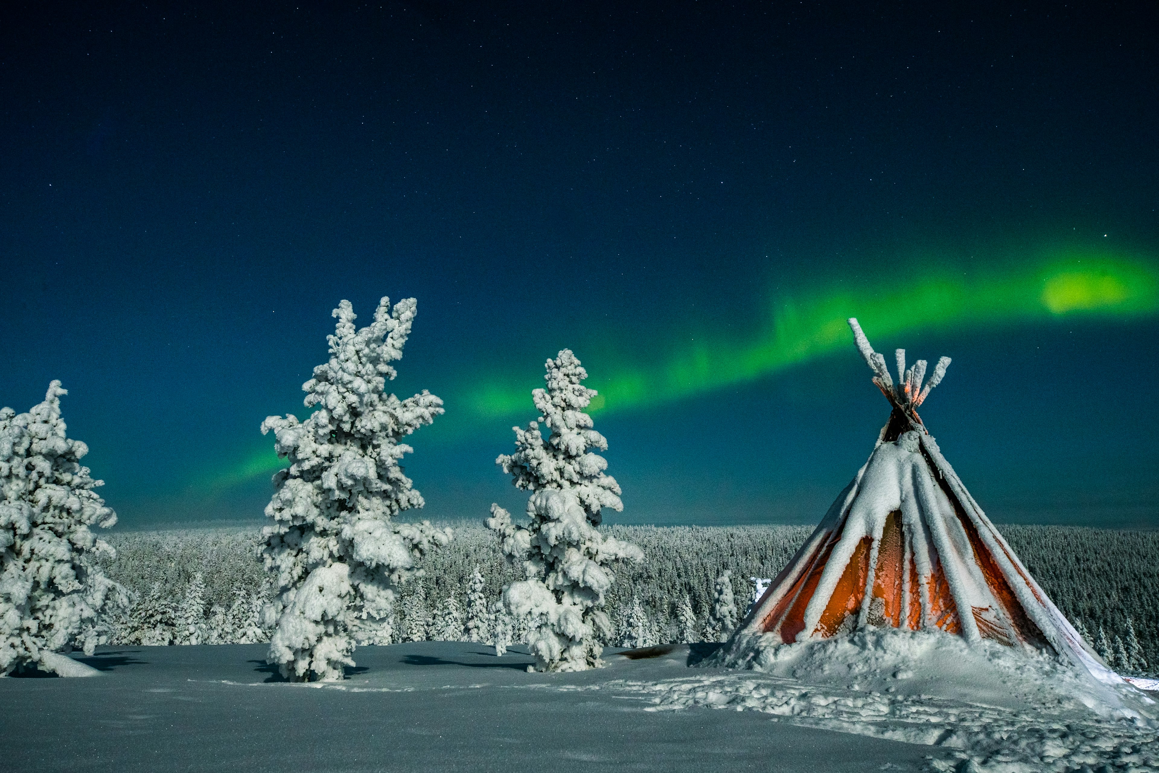 Aurora Borealis, or Northern Lights shine over a forest in Saariselka, Finland