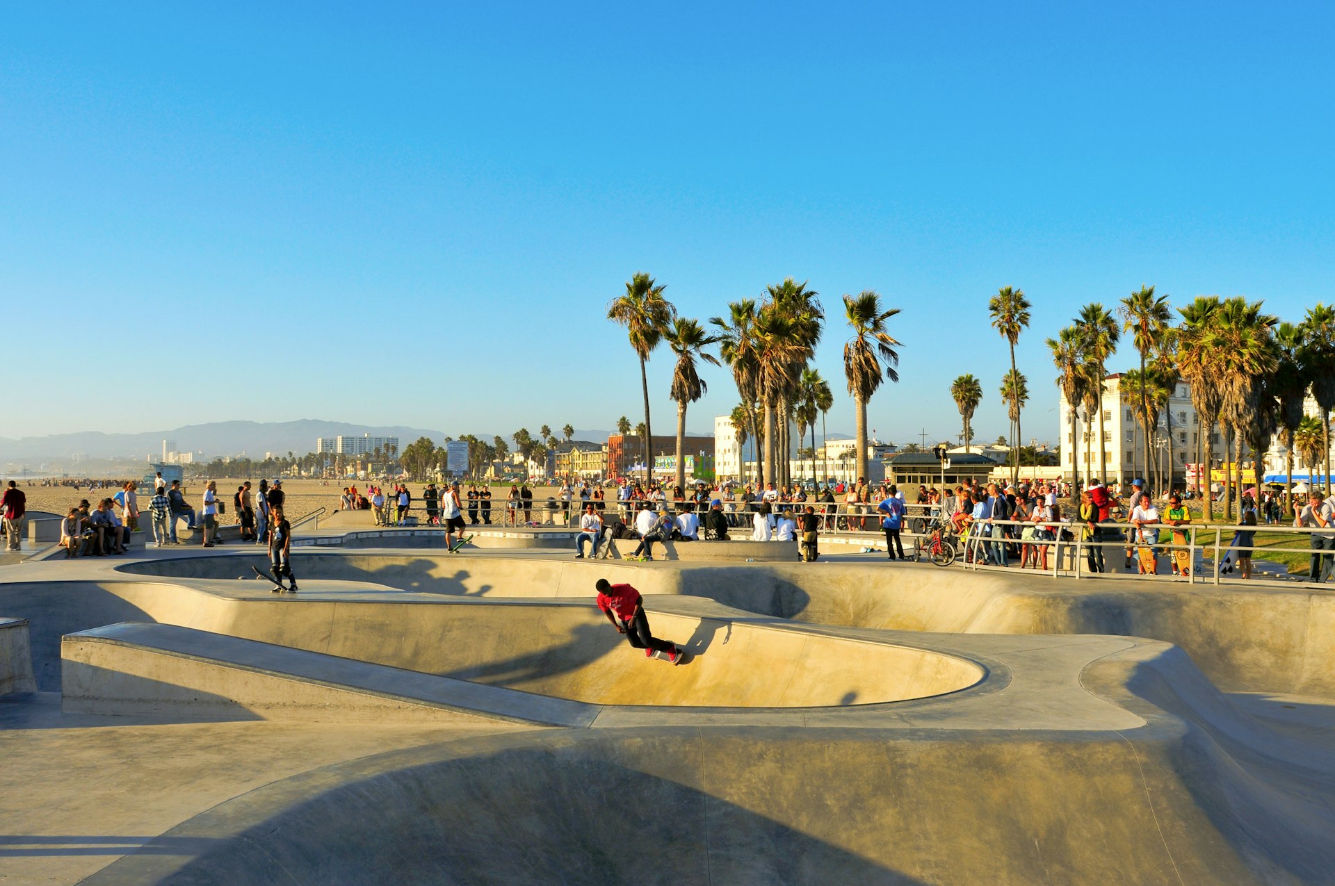 Skateboarders ride down ramps at a skatepark on the edge of a palm-lined beach