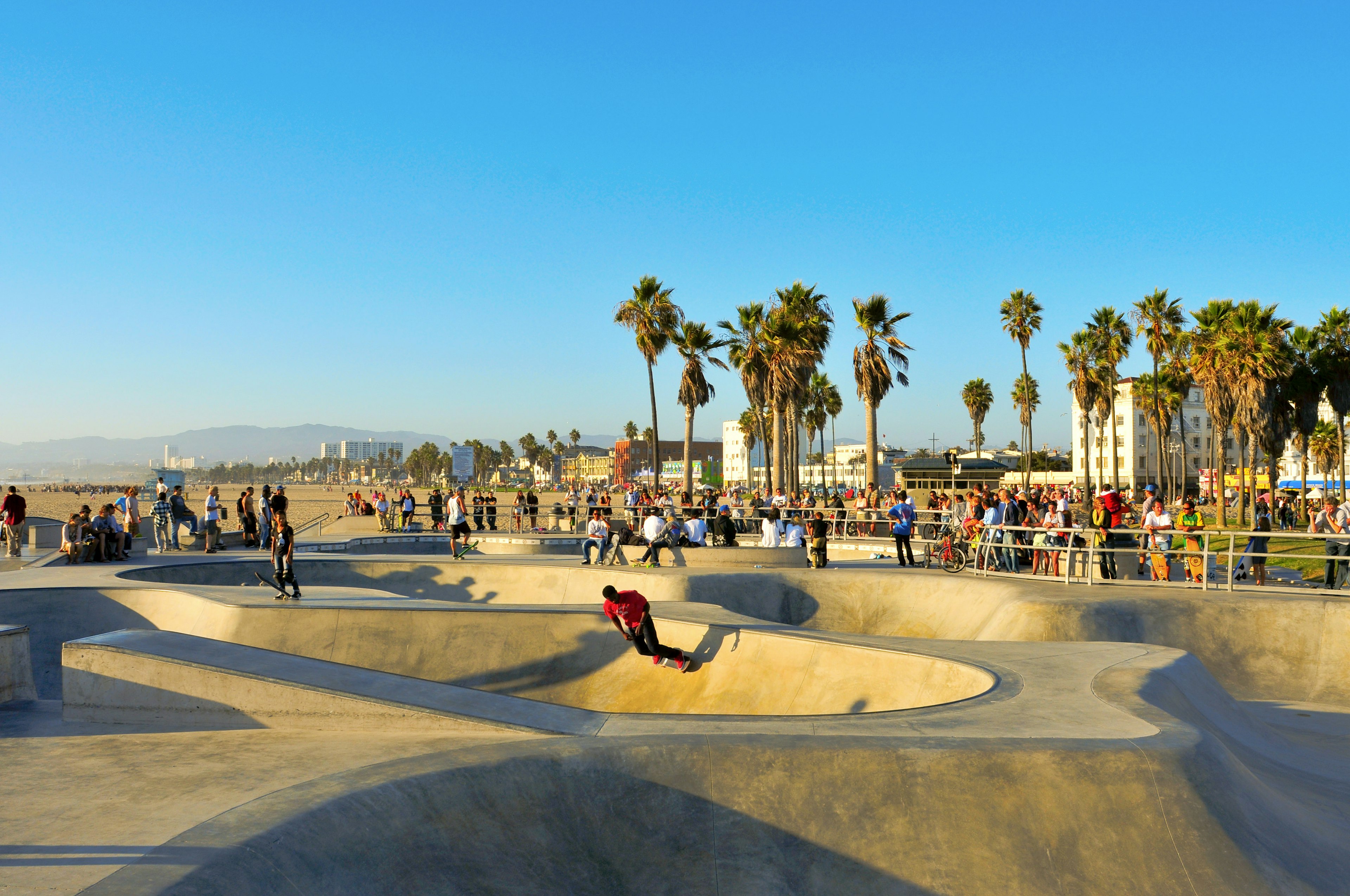 People watch skateboarders who skate up and down ramps near a palm-lined beach