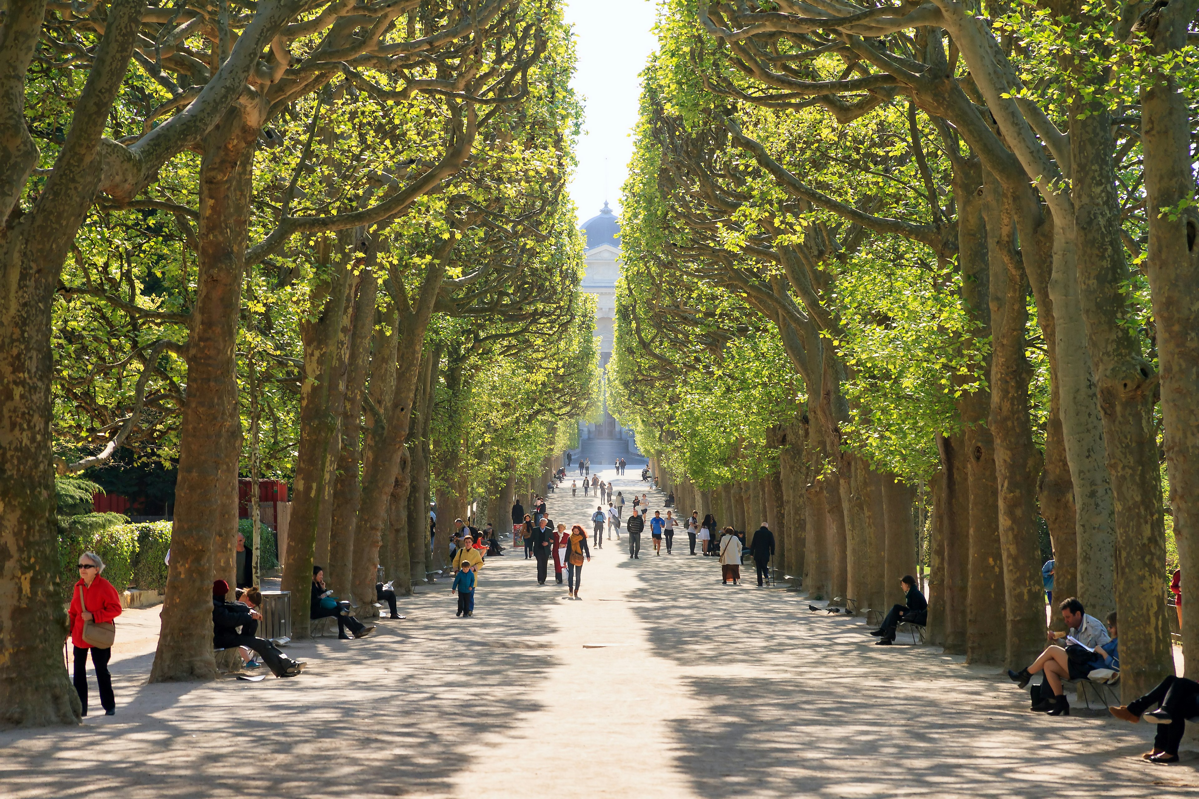 An afternoon stroll through the Jardin des Plantes in Paris, France