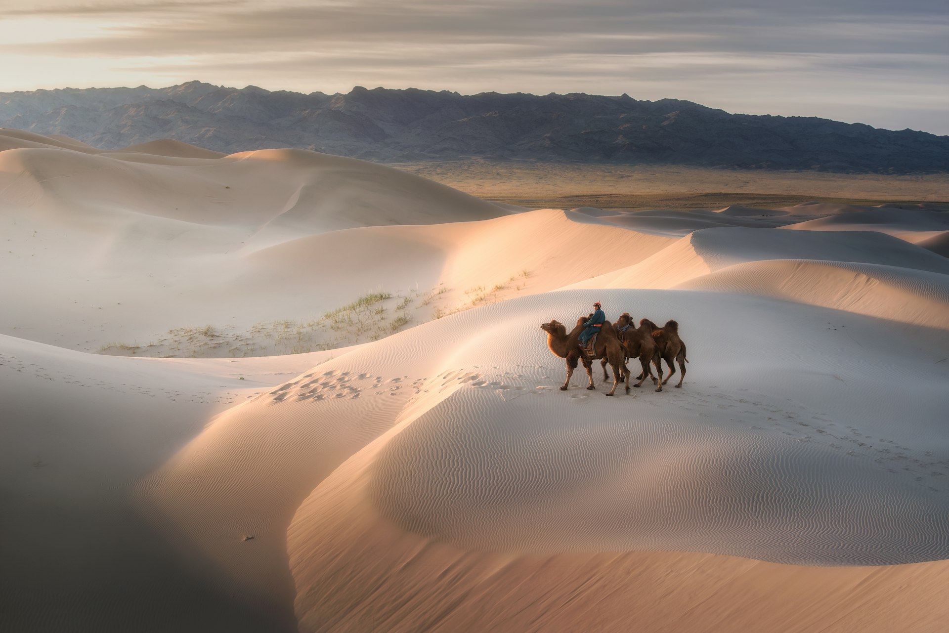 A man rides a camel over sand dunes while leading two others