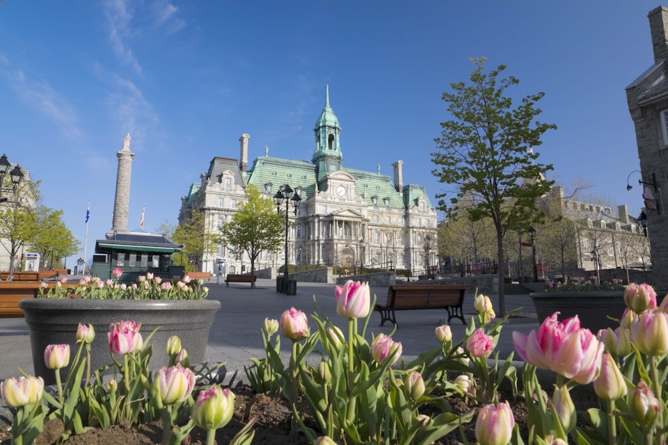Town square and Place Jacques Cartier in Old Montreal.
86464379
Built Structure, Square, Quebec, Flower, No People, Architecture, Vieux-Montral, Place Jacques Cartier, Tulip, Day, Color Image, Horizontal, Bench, Landscaped, Photography, Montreal, Town, Canada, North America, Outdoors