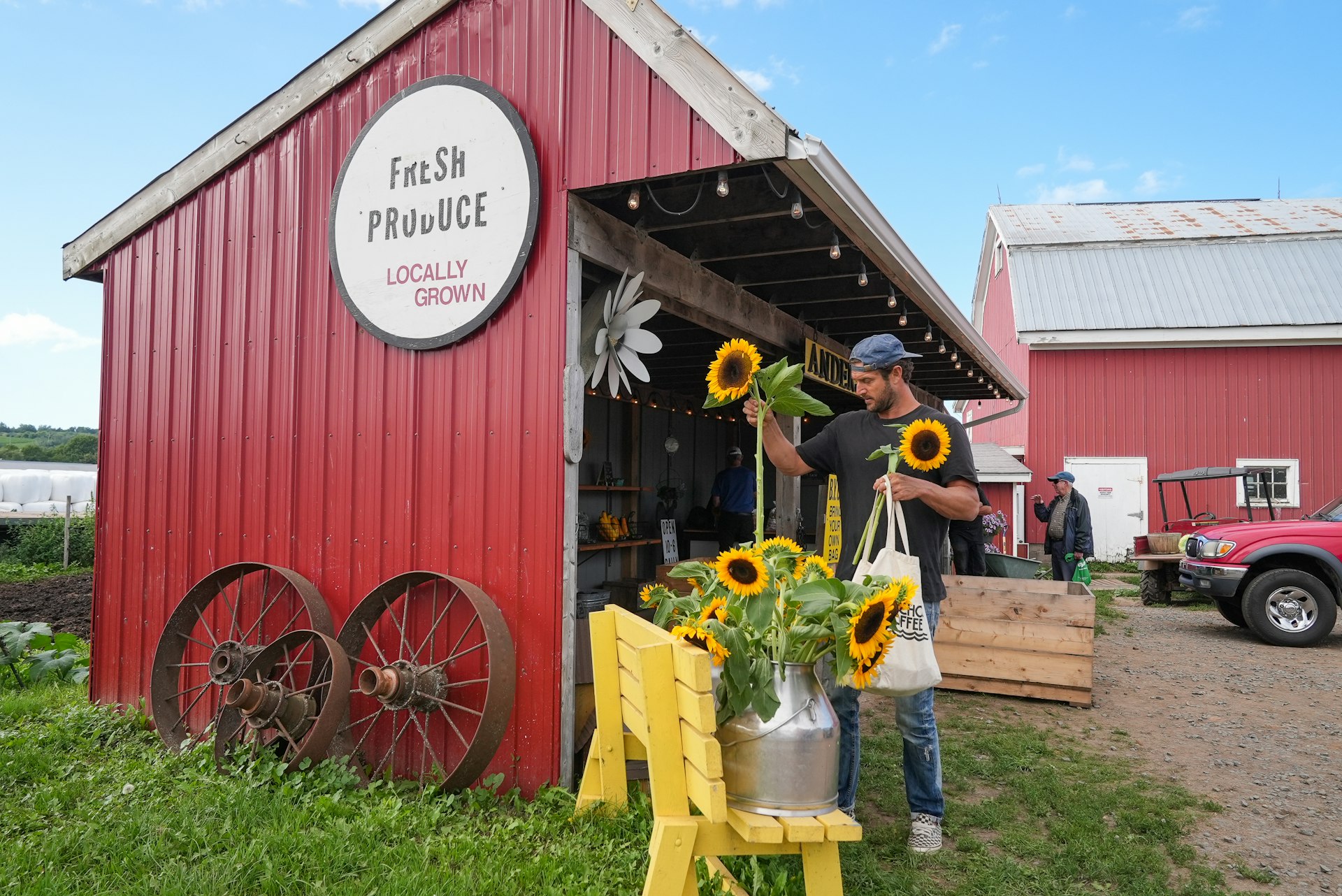A man buys sunflowers from a roadside farm stall