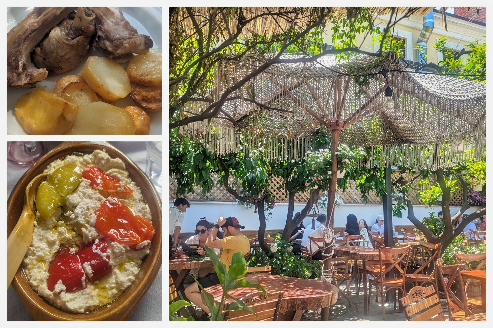 Lunch at a lush outdoor terrace in Tirana